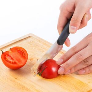 Seki Edge Butter Peeler and Knife SJ-K380 - cutting tomatoes