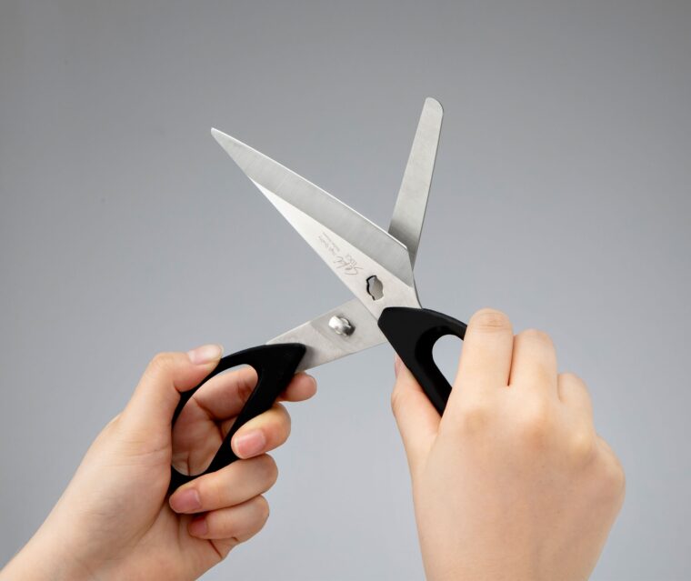 Seki Edge Knife and Kitchen Scissors SJ-K220 - detaching blades