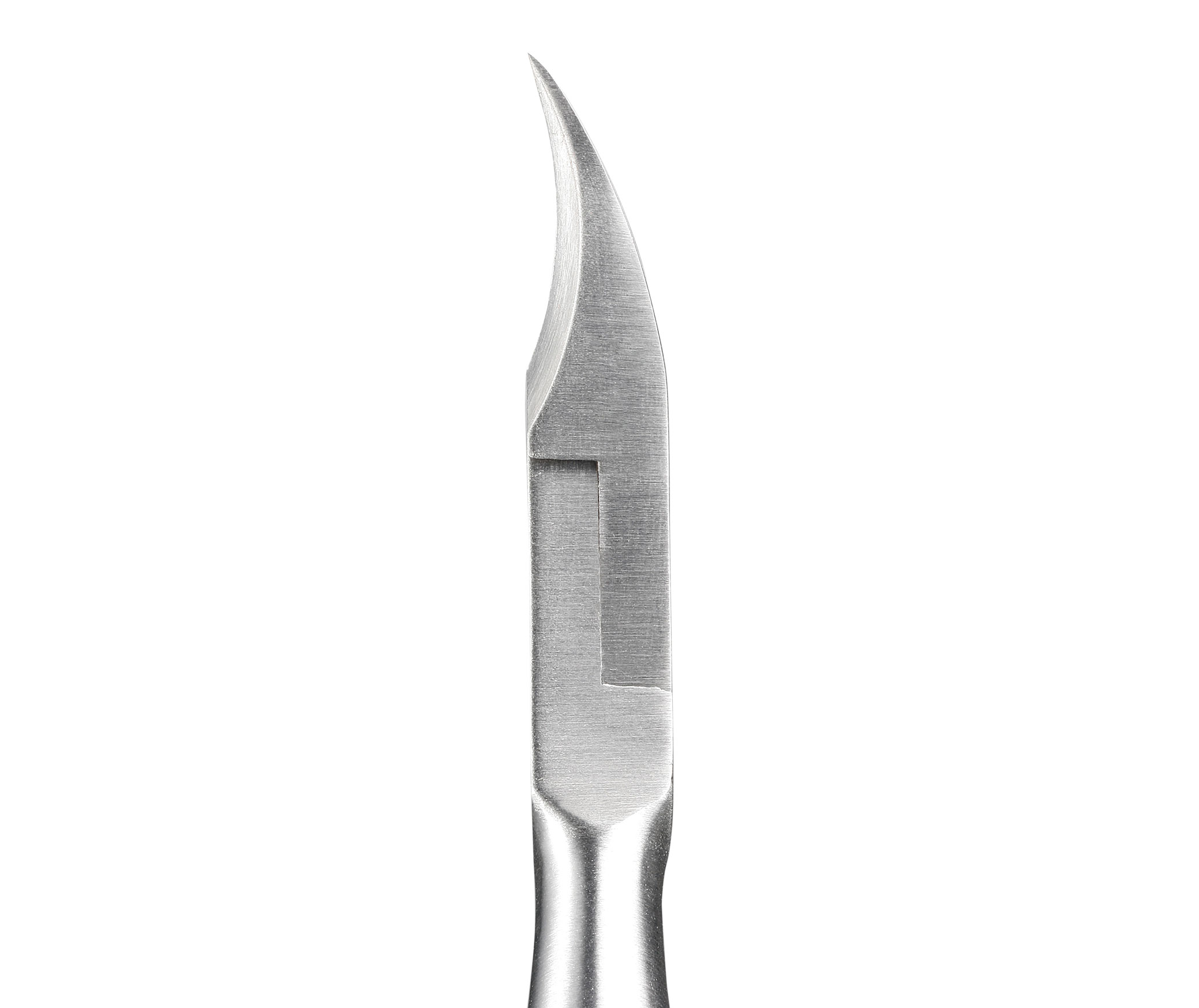 Seki Edge Professional Nail Nipper (SS-202) curved blades