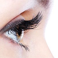 How to Curl Your Eyelashes - Start with the Best Eyelash Curler